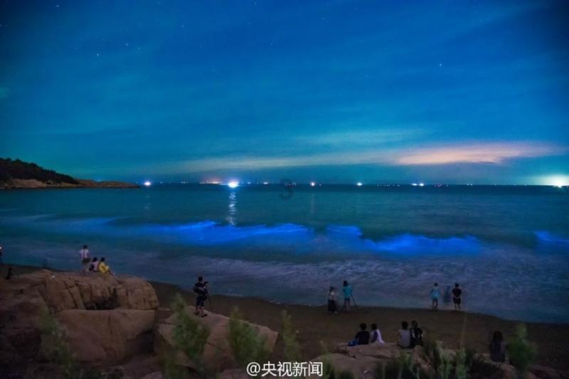 HAHA体育十年运营